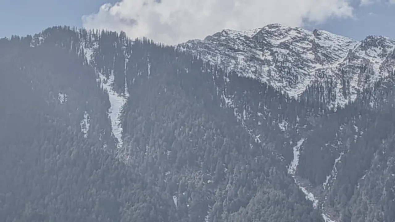 Snow covered Himalayan ridge above a pine forest